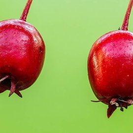 山楂烘干设备选型指南：果实类药材热风干燥参数配置方案