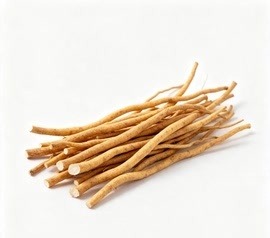 山豆根烘干设备选型指南