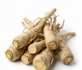 藁本烘干设备选型指南