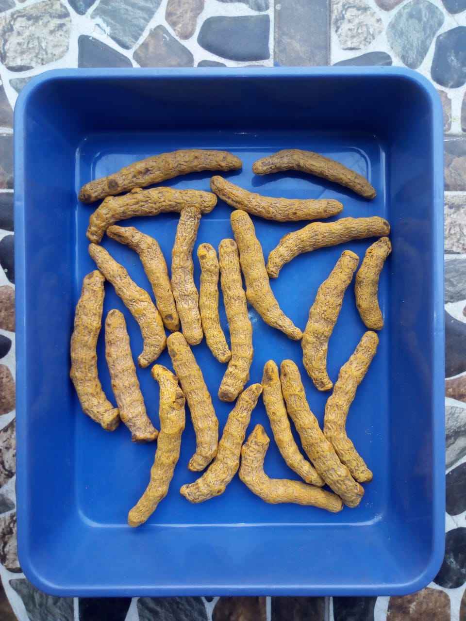 姜黄烘干设备