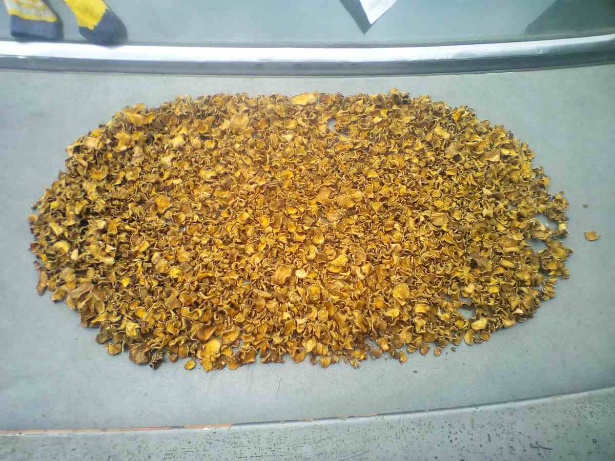 郁金干燥切片成品